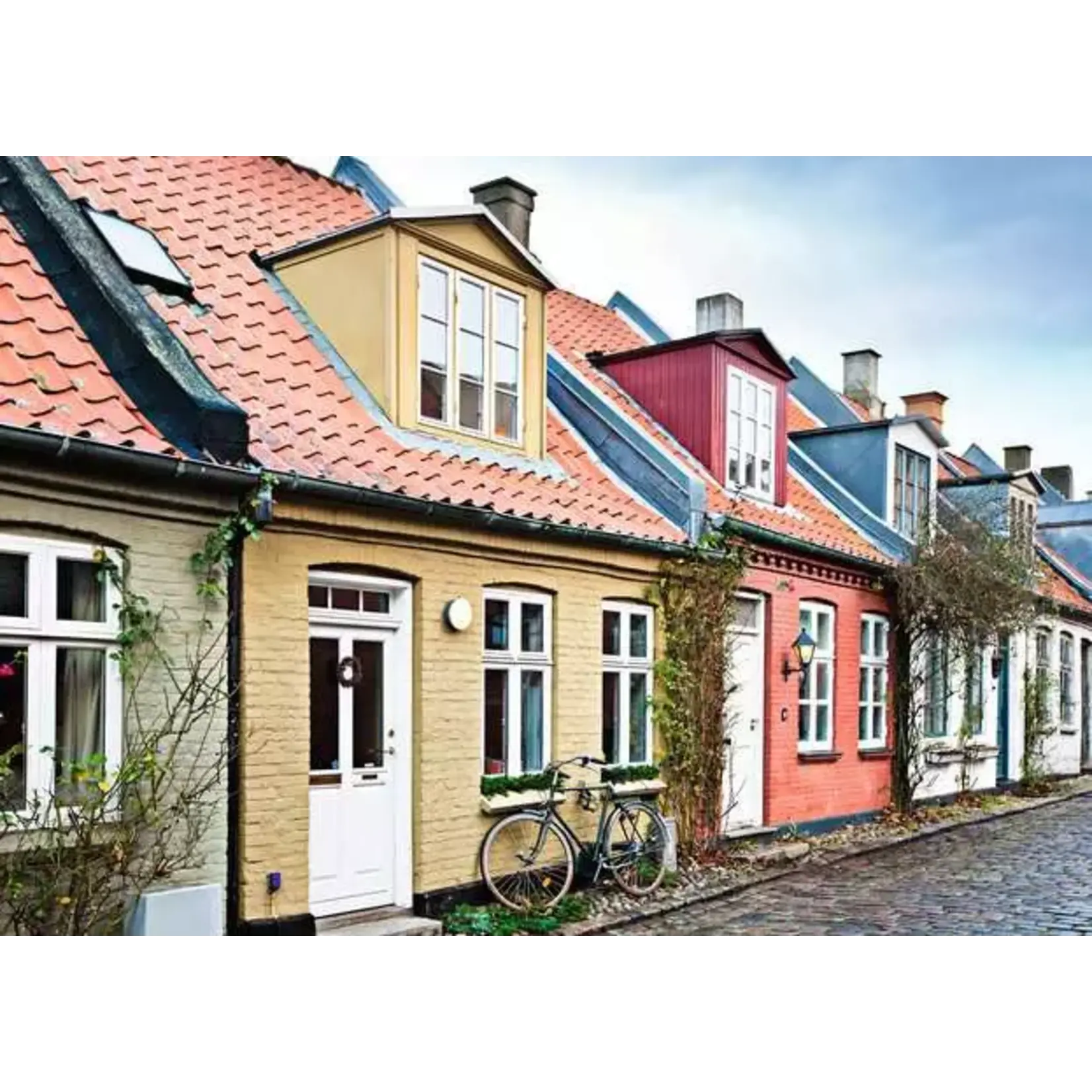 Ravensburger Aarhus, Denmark - 1000 Piece