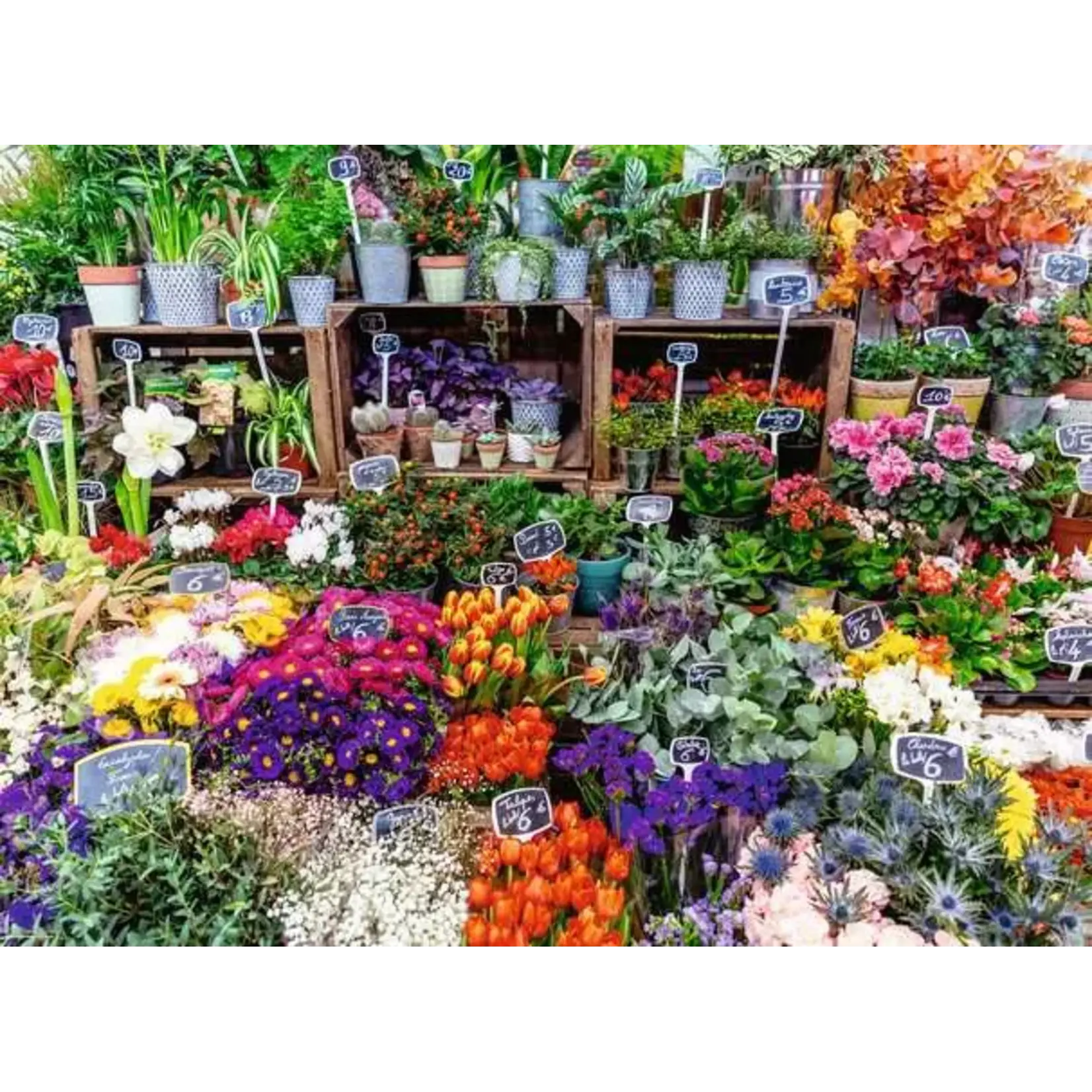 Ravensburger Flower Market, France - 500 Piece