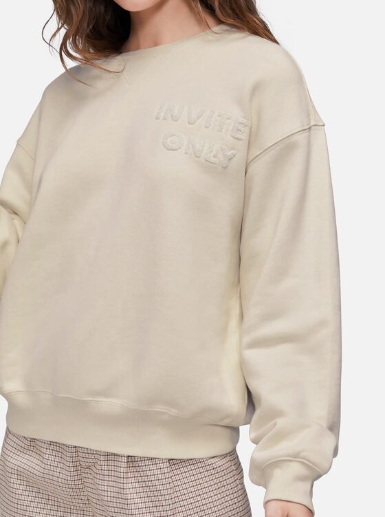 Wildfox skull best sale sweatshirt