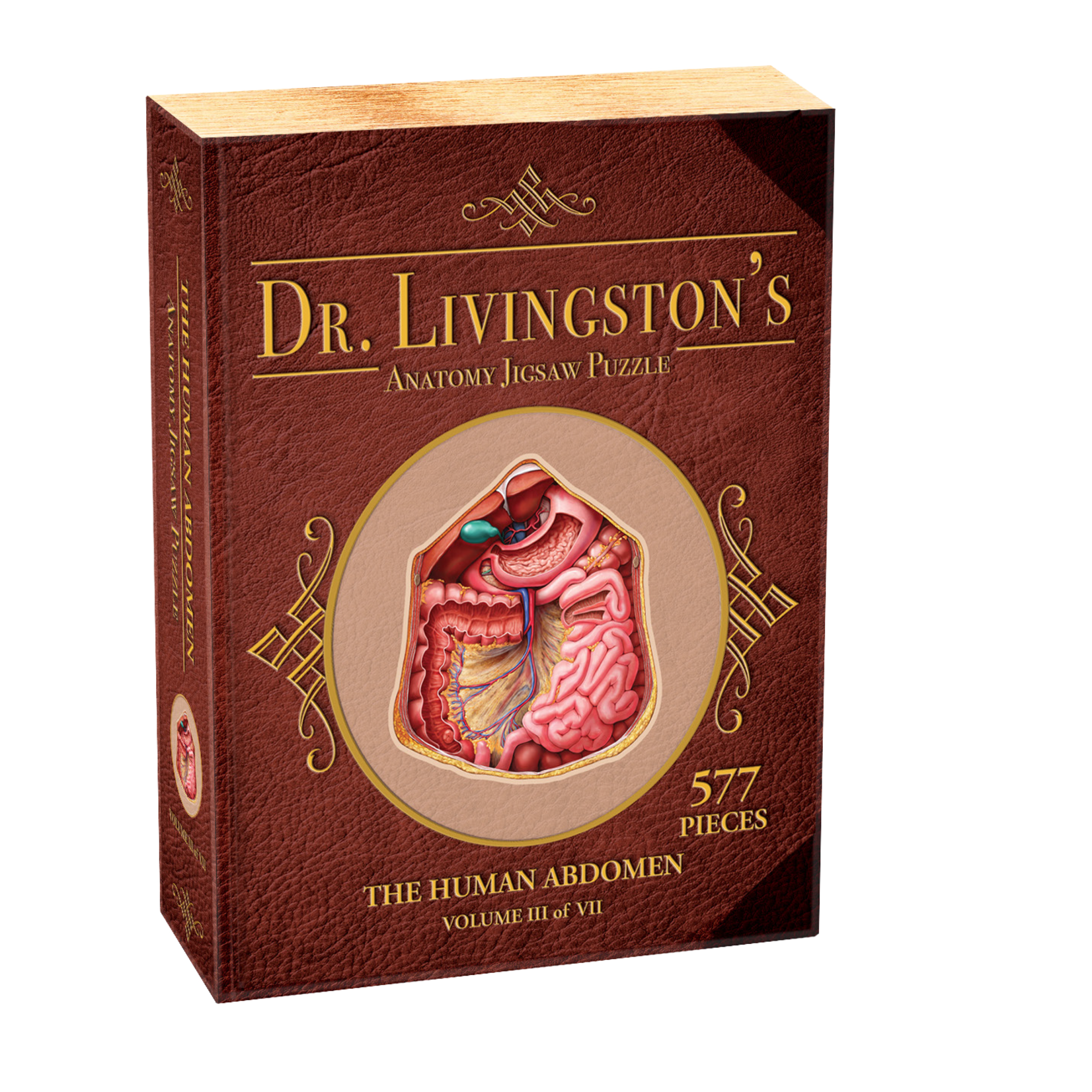 Genius Games Dr. Livingston's Anatomy Puzzle Abdomen