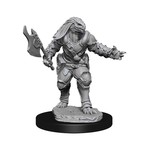 WIZKIDS/NECA D&DNMUM Dragonborn Fighter Female W11