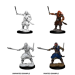 WIZKIDS/NECA D&DNMUM Bandits W8