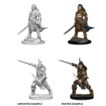 WIZKIDS/NECA PFDCUM Human Fighter Male W1