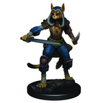 WIZKIDS/NECA D&DIotR PF Tabaxi Rogue Female W3