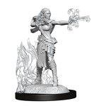 WIZKIDS/NECA D&DNMUM Multiclass Warlock-Sorcerer Female W13