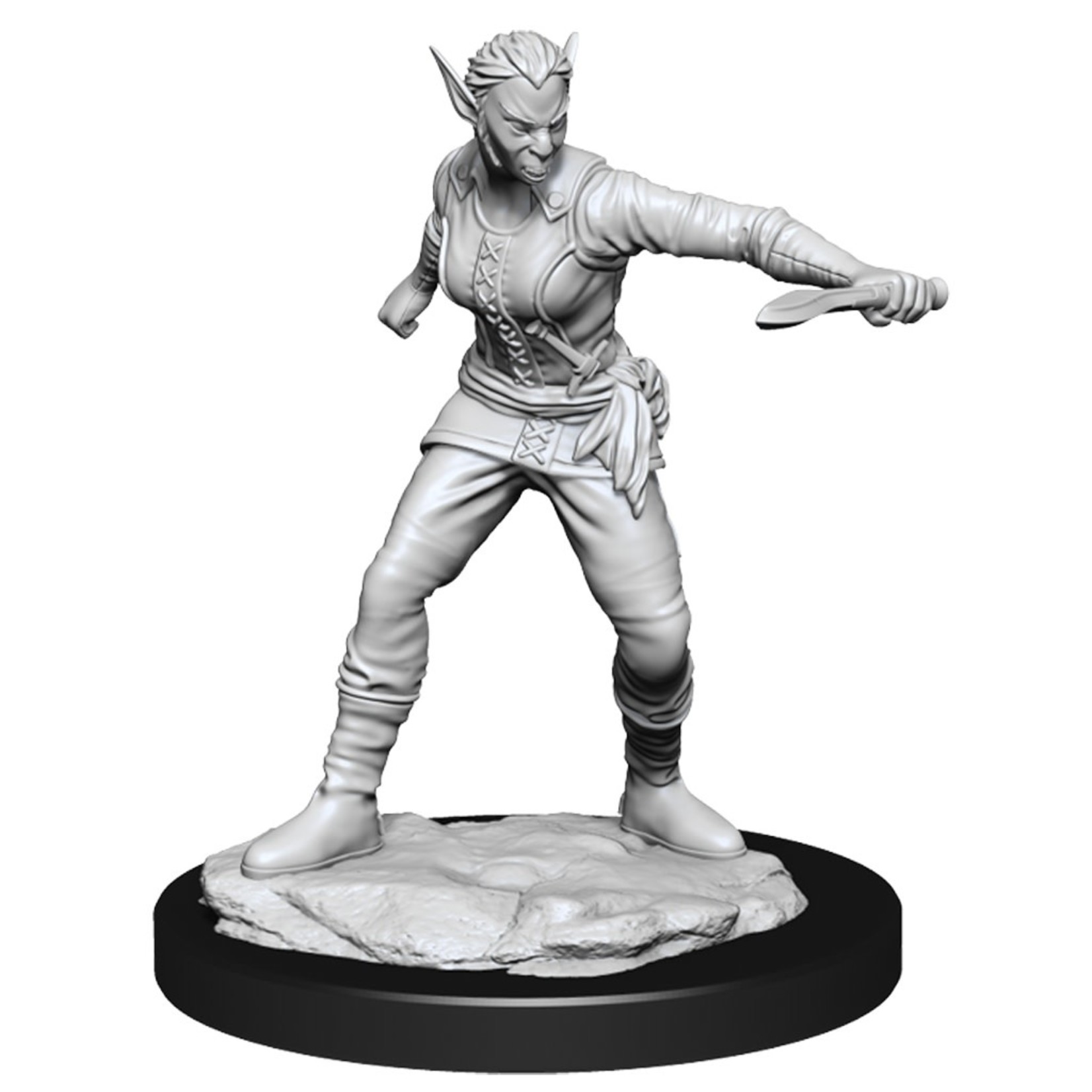WIZKIDS/NECA D&DNMUM Shifter Rogue Female W13