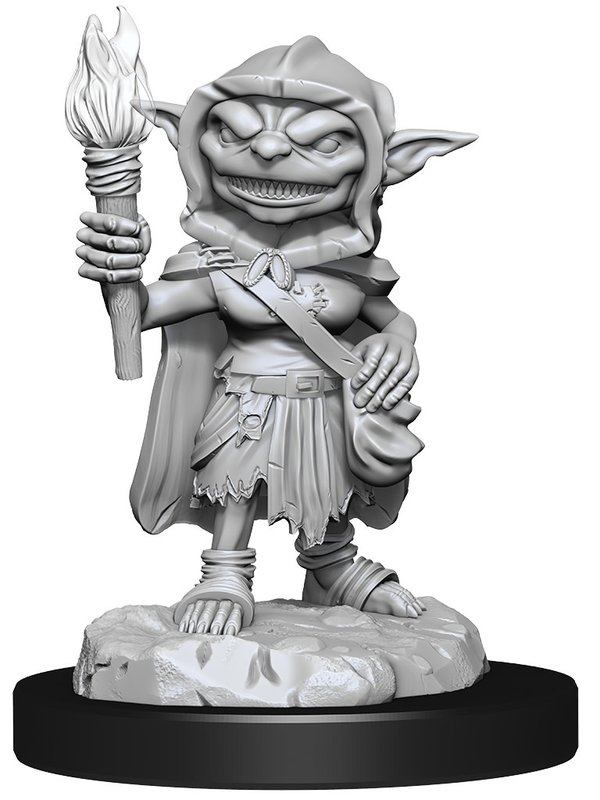 WIZKIDS/NECA PFDUM Goblin Rogue Female W13