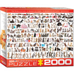 EuroGraphics World of Cats 2000pc