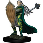 WIZKIDS/NECA D&DIotR PF Elf Paladin Female W4