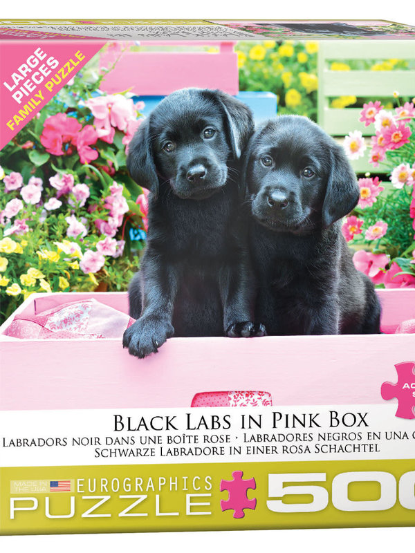 EuroGraphics Black Labs in Pink Box 500pc