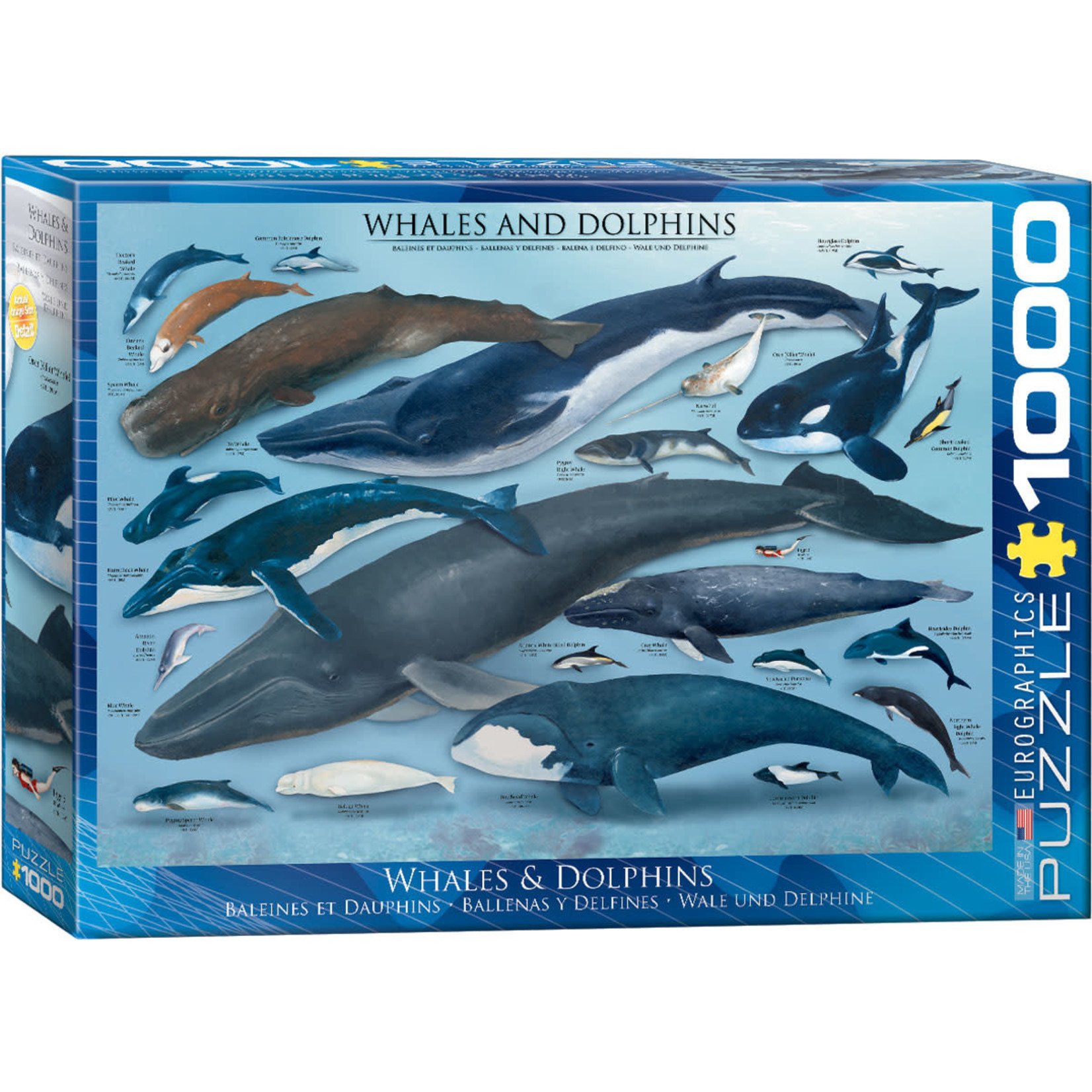 EuroGraphics Whales & Dolphins 1000pc