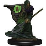 WIZKIDS/NECA D&DIotR PF Elf Druid Male W5