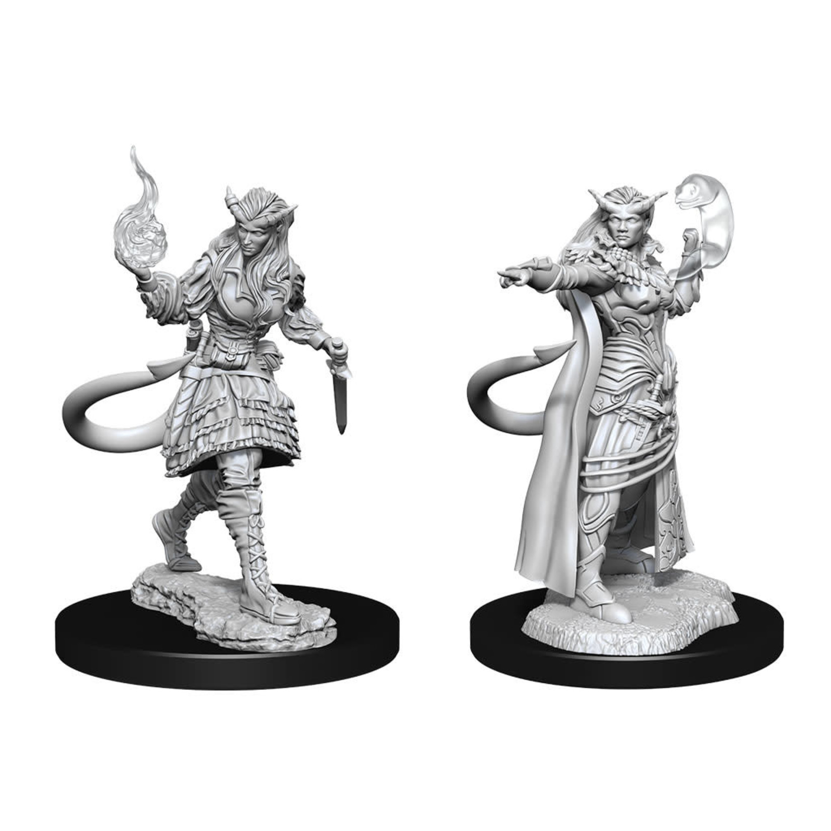 WIZKIDS/NECA D&D Tiefling Sorcerer Female W15