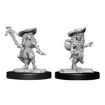 WIZKIDS/NECA PFDCUM: Gnome Bard Female W15