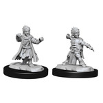 WIZKIDS/NECA PFDCUM: Halfling Monk Male W15