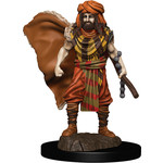 WIZKIDS/NECA D&DIotR PF Human Druid Male W4