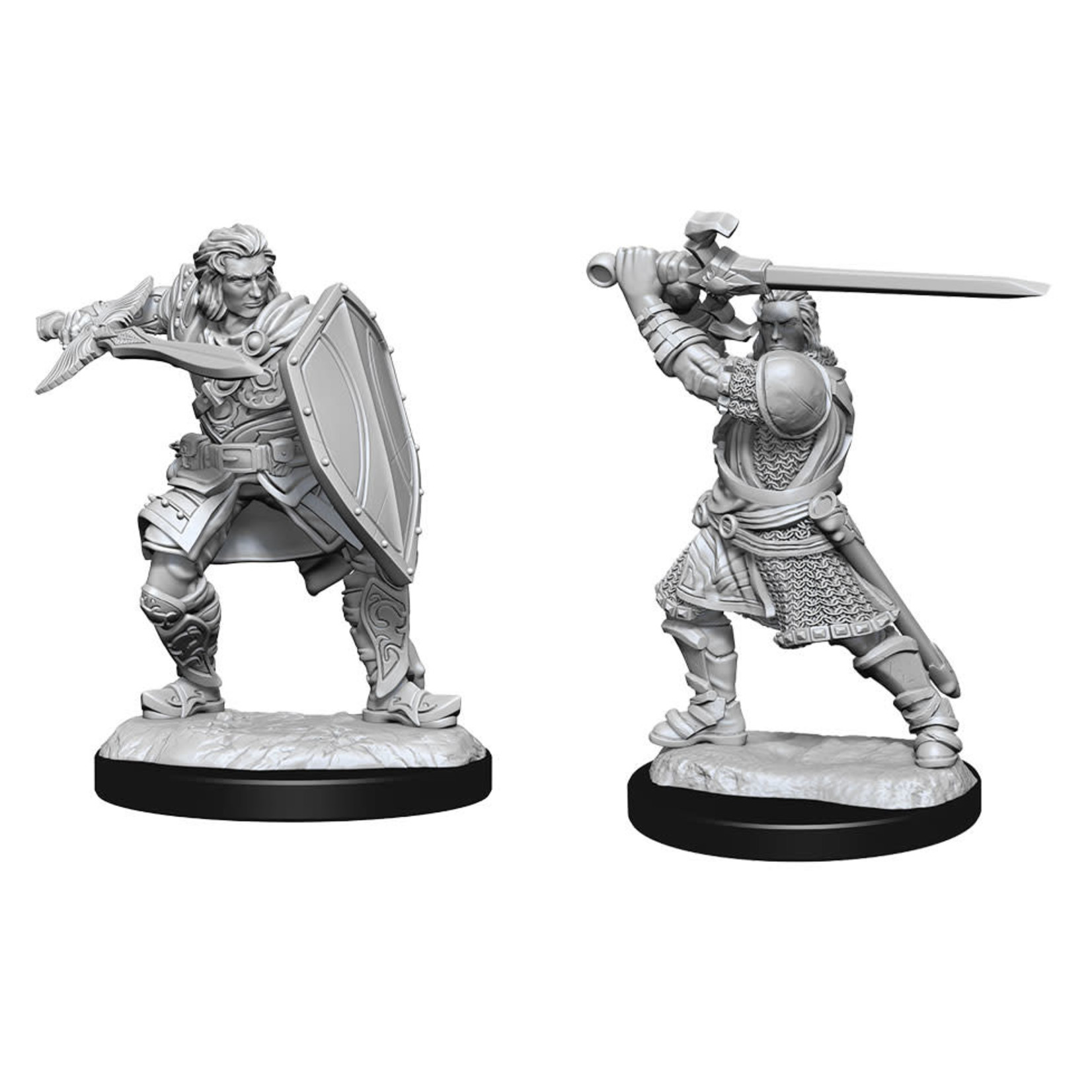 WIZKIDS/NECA D&DNMUM Human Paladin Male W14