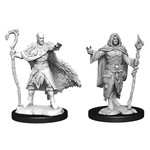 WIZKIDS/NECA D&DNMUM Human Druid Male W14