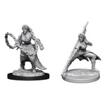 WIZKIDS/NECA D&DNMUM Human Monk  Female W14