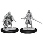 WIZKIDS/NECA D&DNMUM Half-Elf Rogue  Female W14