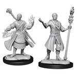 WIZKIDS/NECA D&DNMUM Half-Elf Wizard Male W14