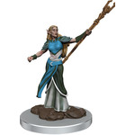 WIZKIDS/NECA D&D IotR Premium Female Elf Sorcerer W7