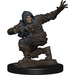 WIZKIDS/NECA PB Human Rogue Male WP1