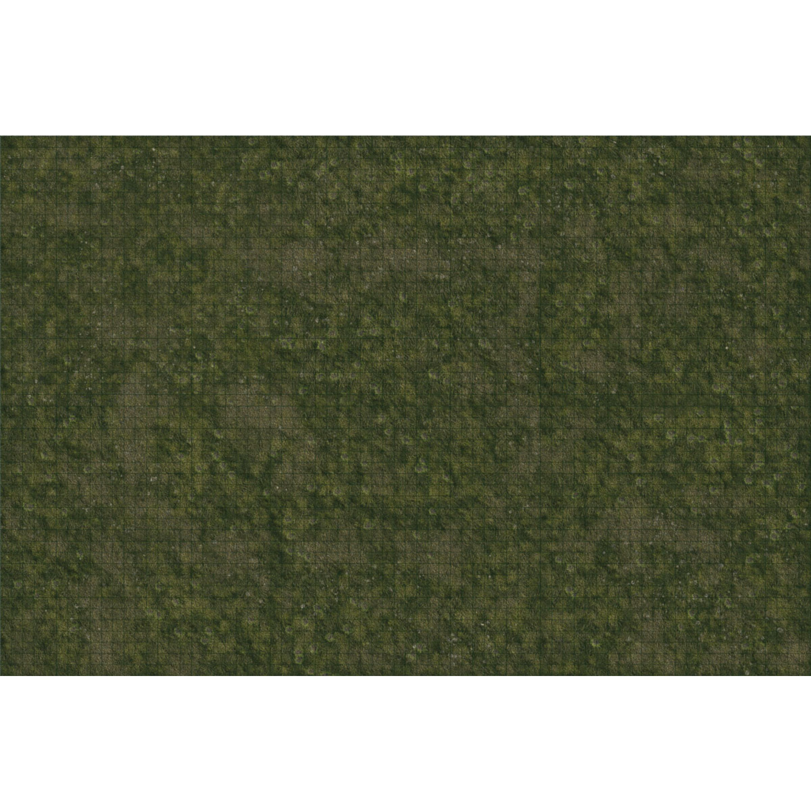WIZKIDS/NECA D&D IotR Grasslands Battle Mat