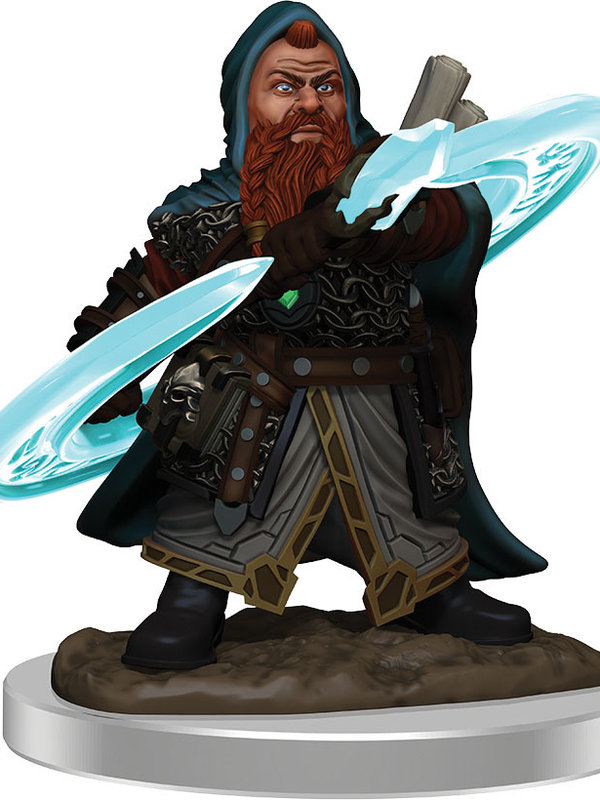 WIZKIDS/NECA Dwarf Sorcerer Male PFB Premium W03