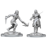 WIZKIDS/NECA D&DNMUM Half-Elf Rogue Female W17