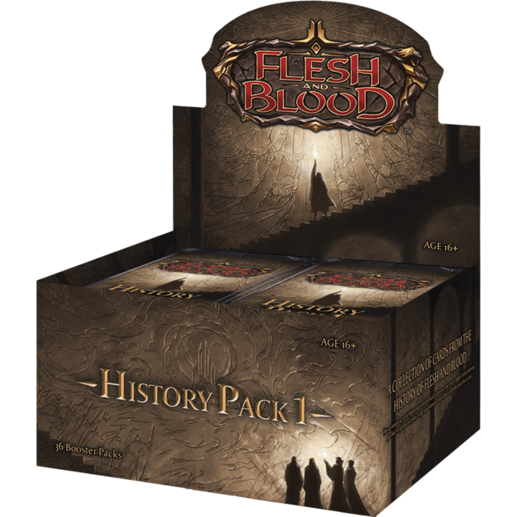 Legend Story Studios Flesh and Blood TCG History Pack Display