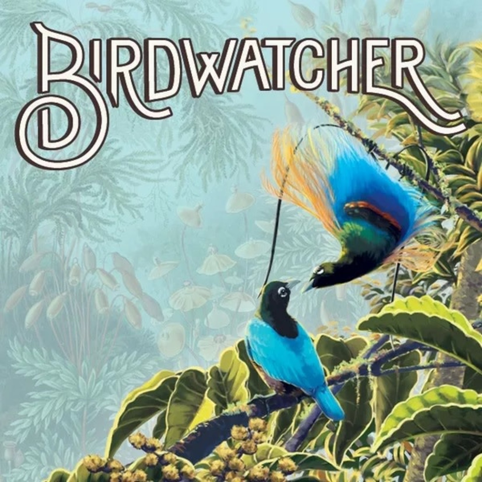 Renegade Game Studios Birdwatcher
