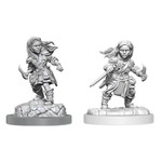 WIZKIDS/NECA D&DNMUM Halfling Rogue Female W20