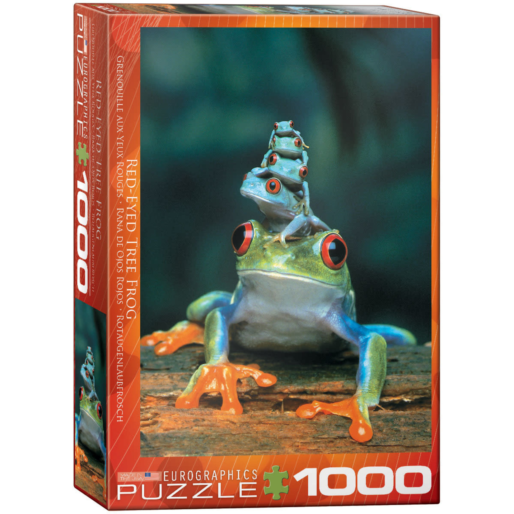 EuroGraphics Red-Eyed Tree Frog 1000pc