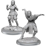 WIZKIDS/NECA PDC Half-Elf Monk Females W21