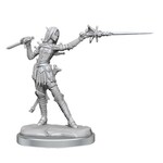 WIZKIDS/NECA Pathfinder Legendary Cuts W02A Female Elf Rogue