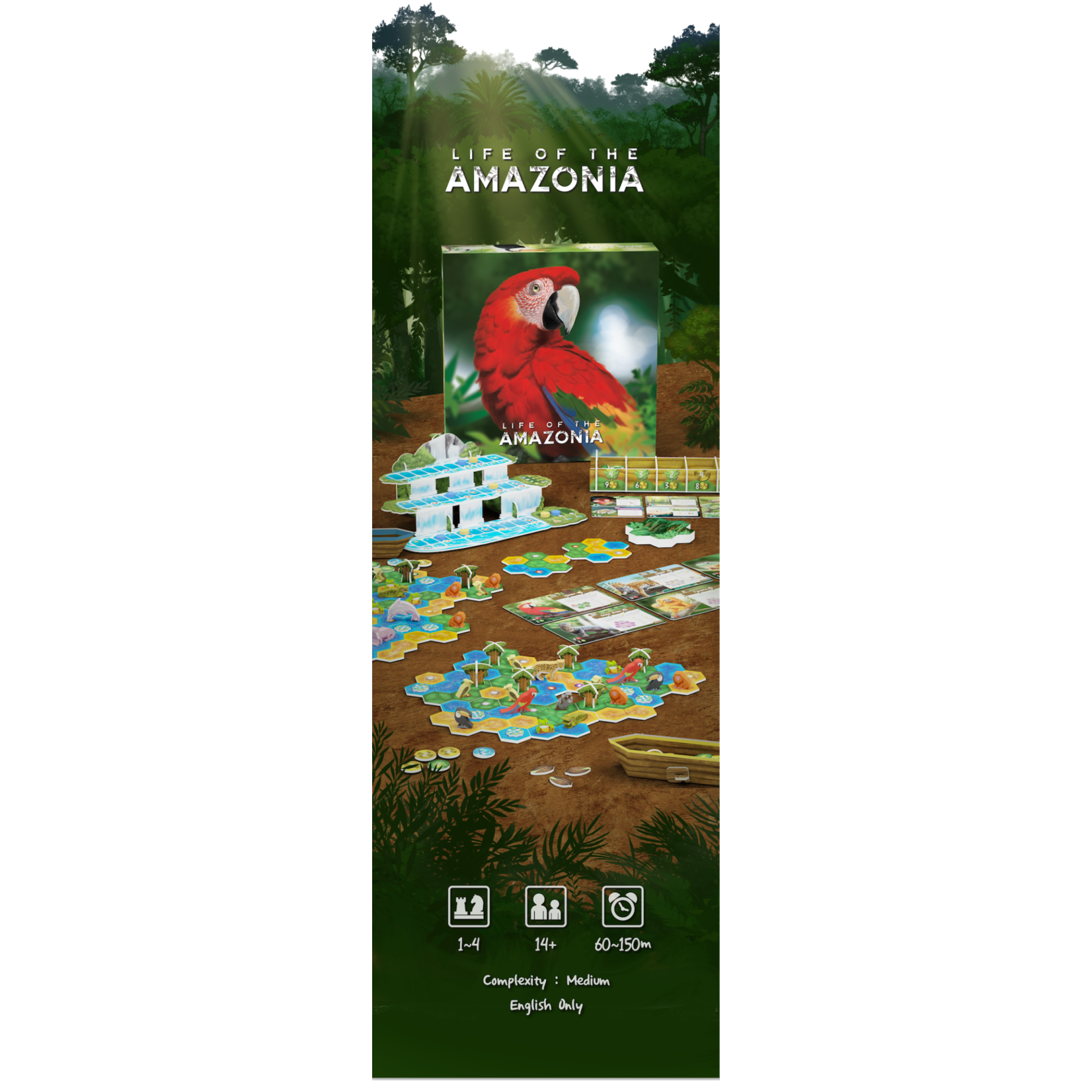 保存版】 ボードゲーム Life of the Amazonia その他 - studioarq20.com.br