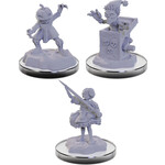WIZKIDS/NECA D&DNMUM Carrionettes W22