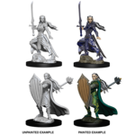 WIZKIDS/NECA D&DNMUM Elf Paladin Female W9