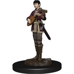 WIZKIDS/NECA D&DIotR PF Half-Elf Bard Female W4