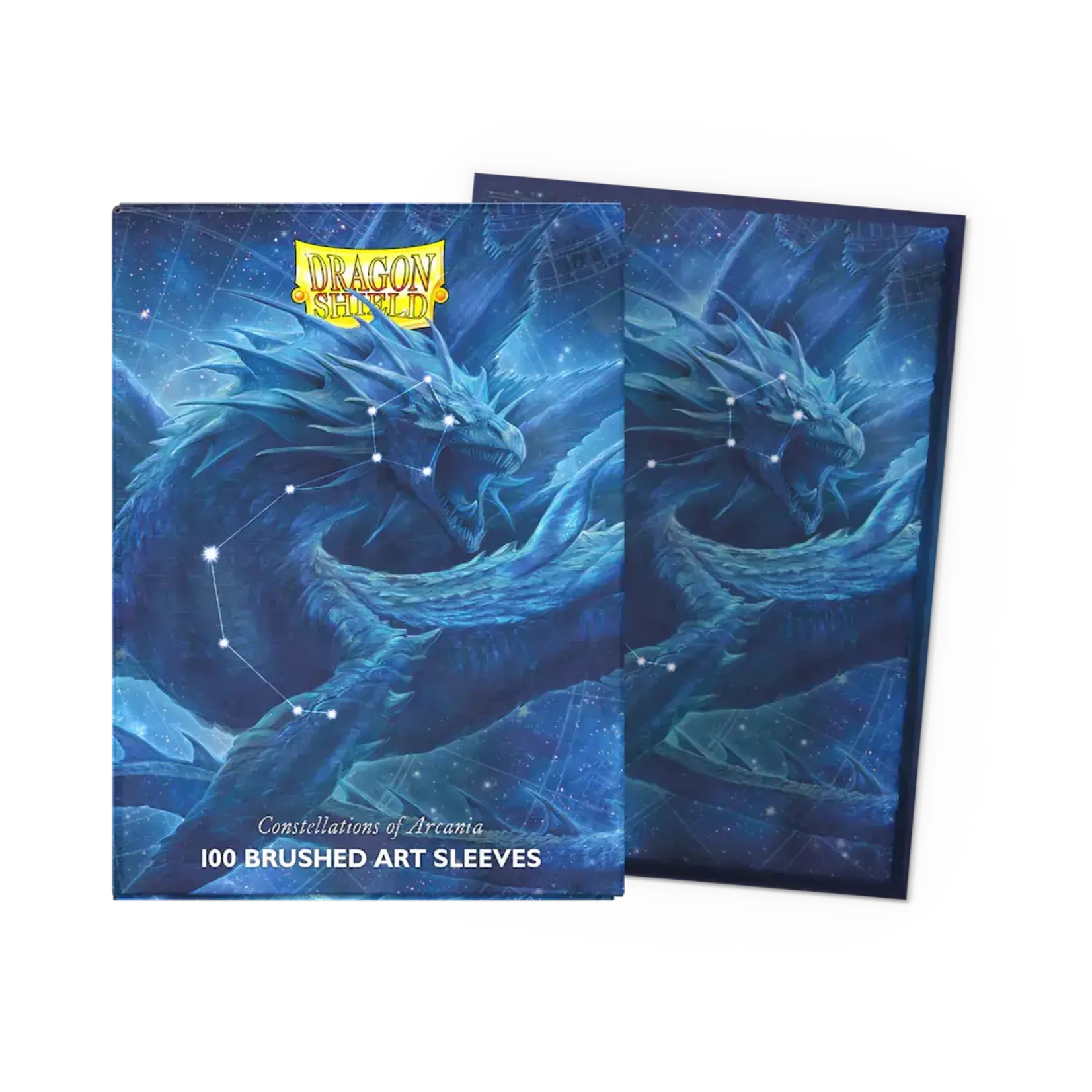 Arcane Tinmen Dragon Shields Brushed Art Drasmorx (100)