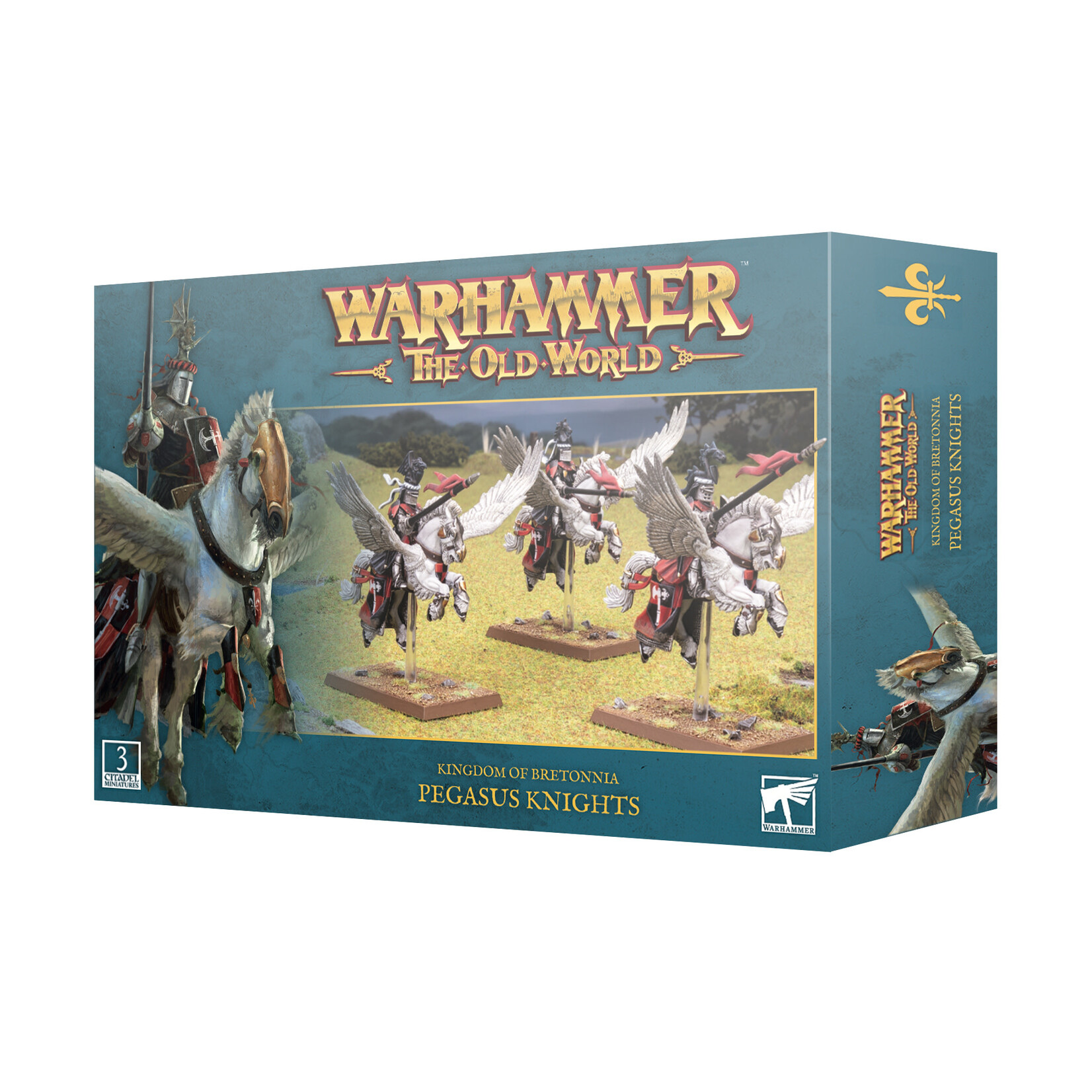 Games Workshop Old World Kingdom of Bretonnia Pegasus Knights