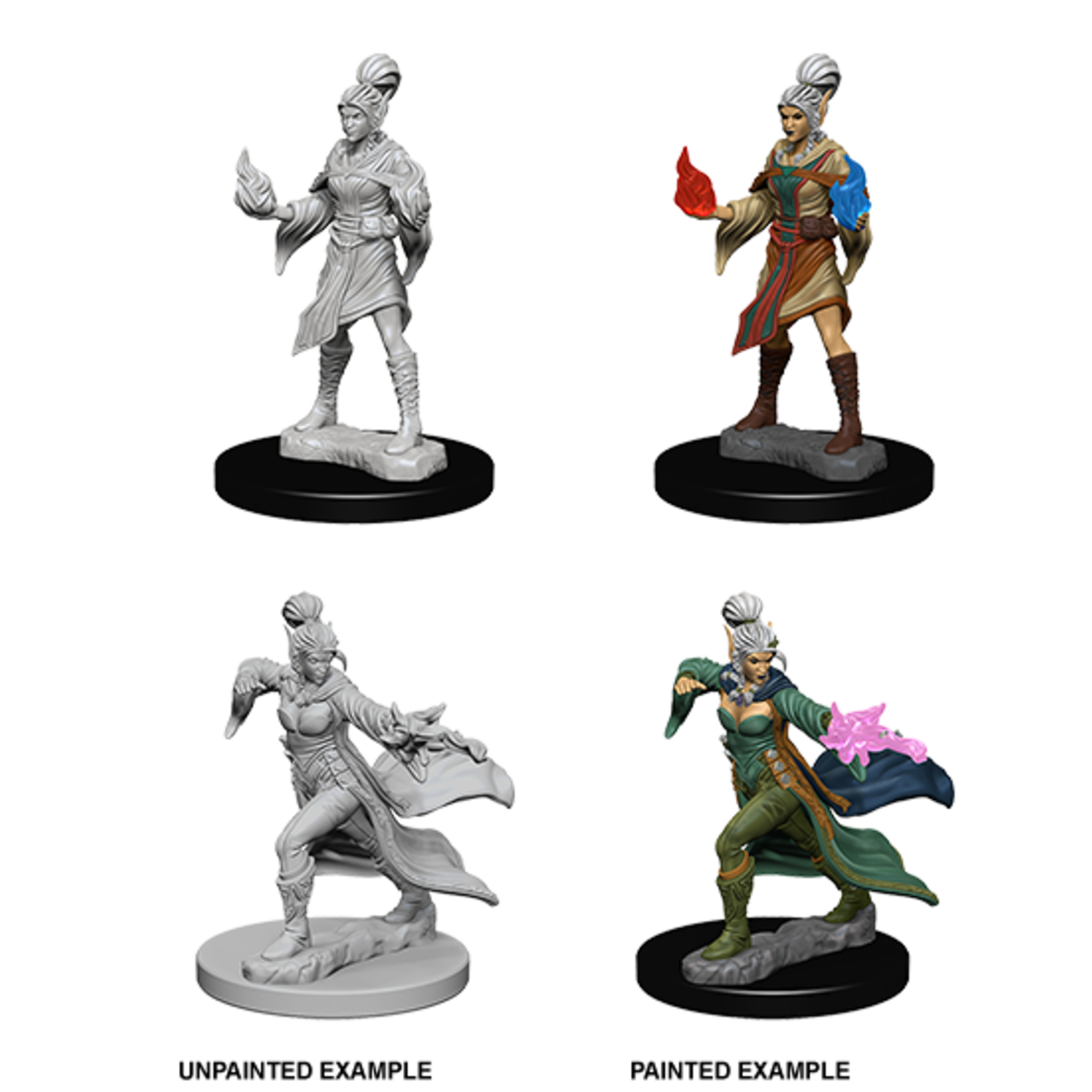 WIZKIDS/NECA PFDCUM Elf Sorcerer Female W1