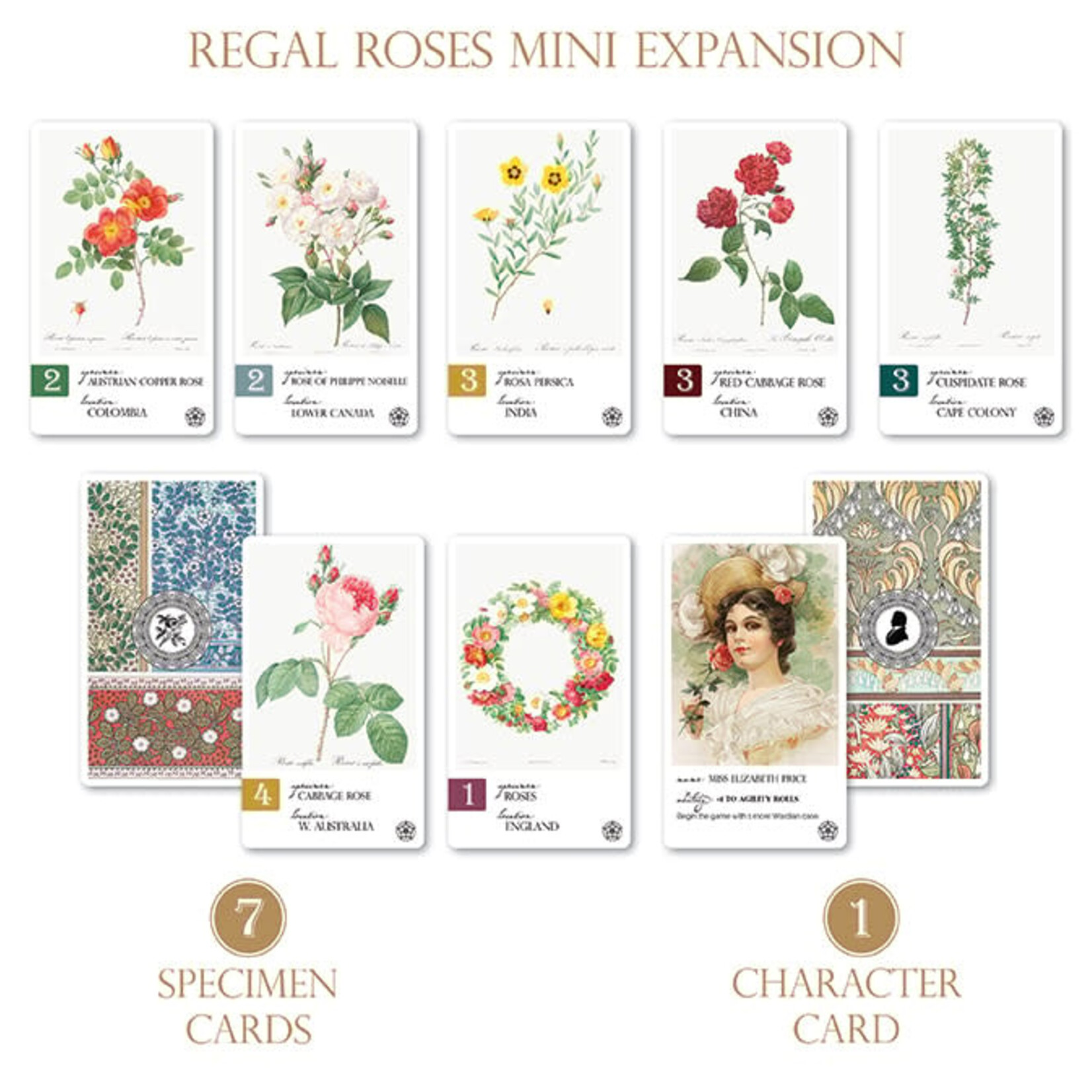 Dux Somnium Games Botany Regal Roses Expansion