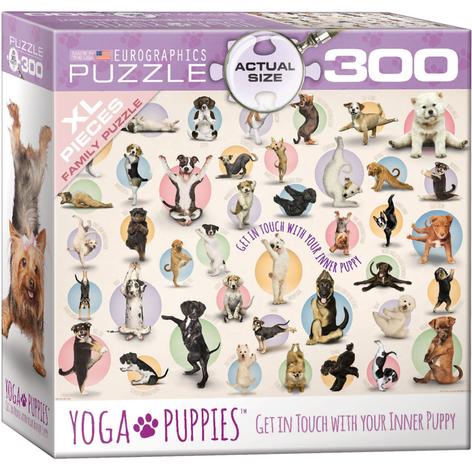EuroGraphics Yoga Puppies 300pc