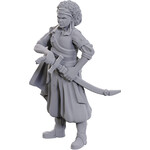 WIZKIDS/NECA D&DNMUM W23 Ansalon Human Rogue