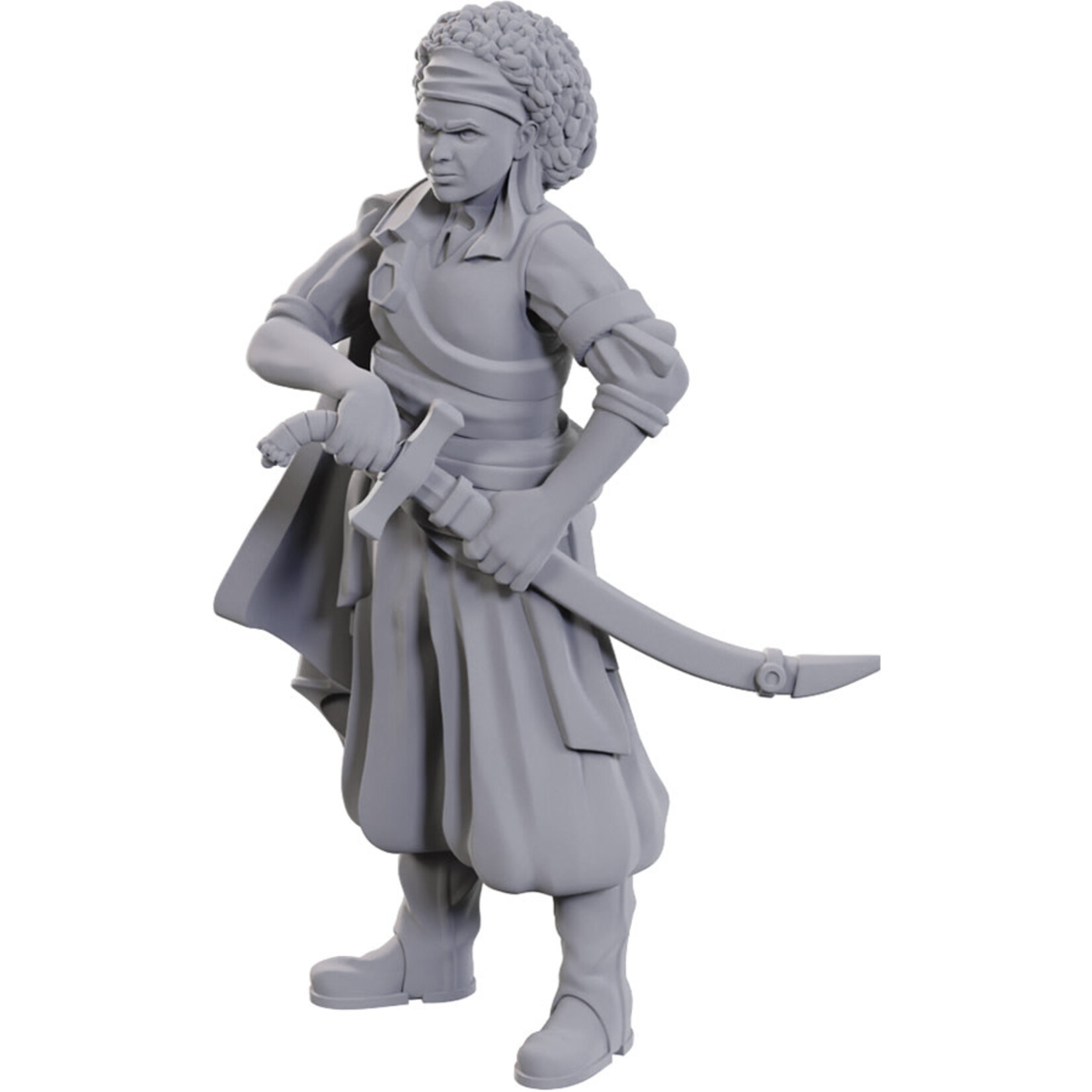 WIZKIDS/NECA D&DNMUM W23 Ansalon Human Rogue