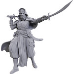 WIZKIDS/NECA PFDCUM W23 Desert Giant