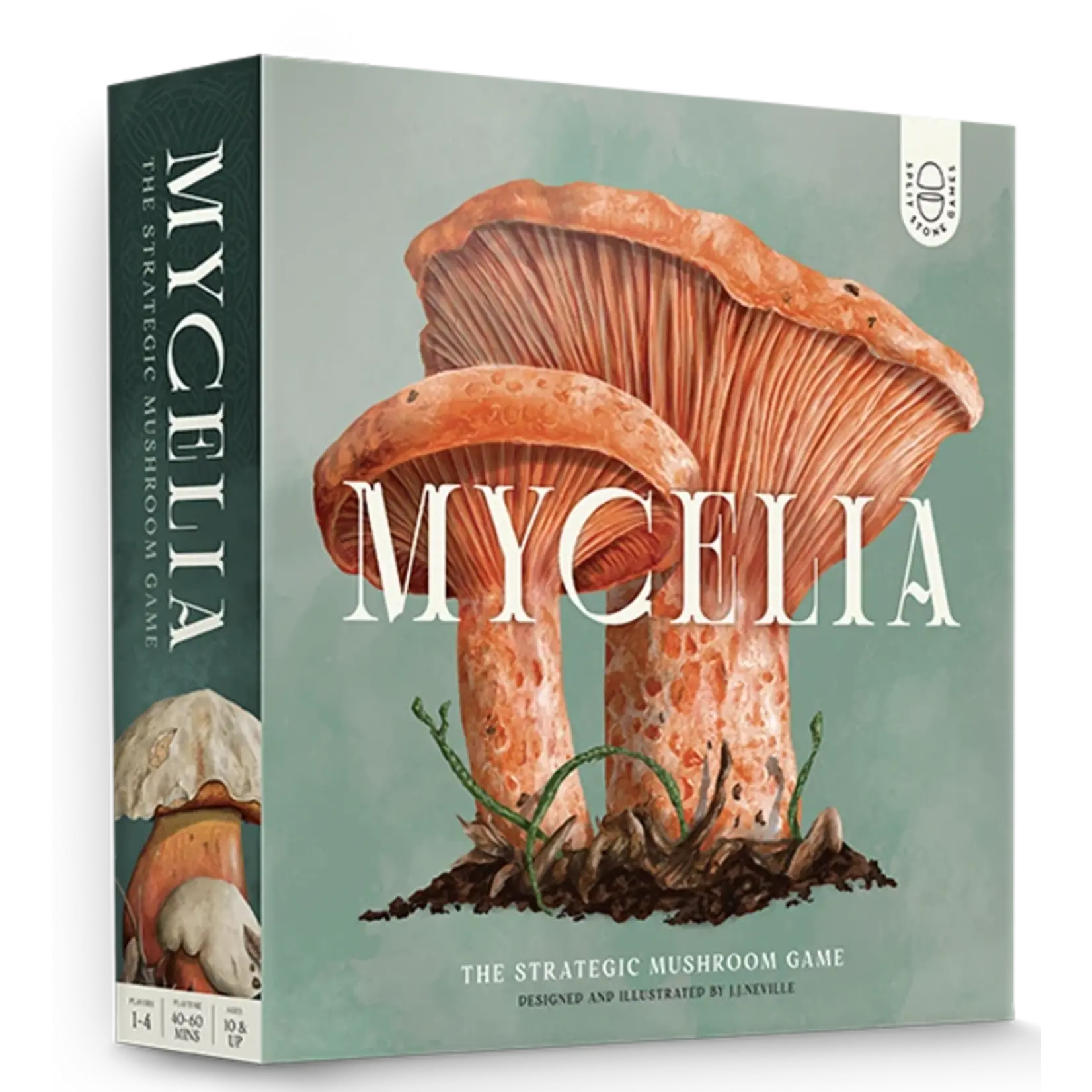 KTBG Mycelia