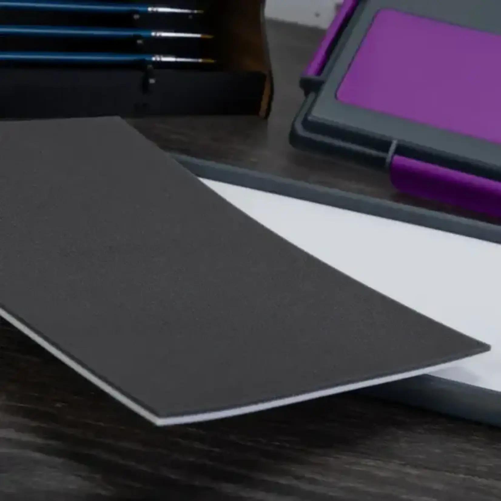 Game Envy Exemplar PRO Wet Palette Dual-Density Sponge 2-Pack